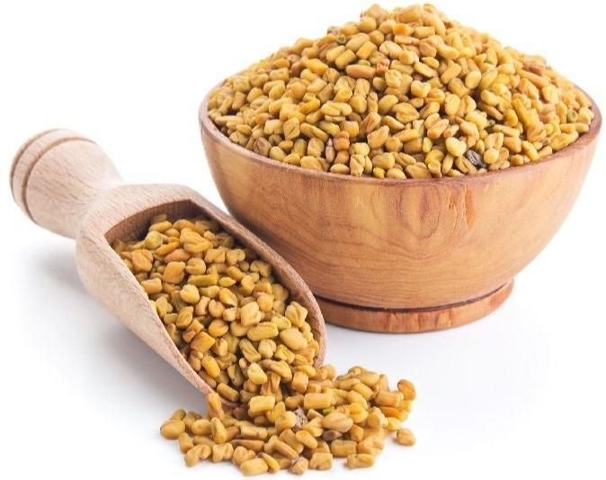 Yellow Fenugreek Seeds, for Cooking, Packaging Size : 5-10 Kg