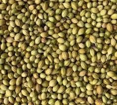 coriander seeds