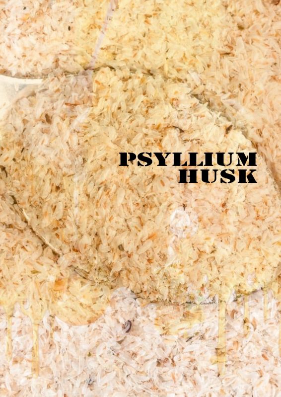 Organic Psyllium for Food, Healthcare Products