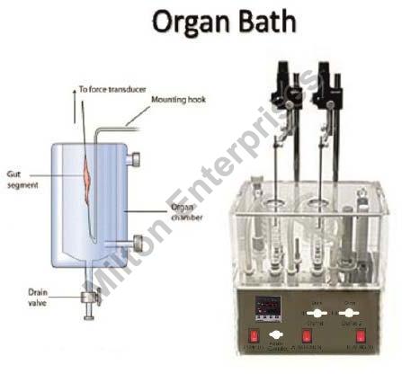Digital Organ Bath