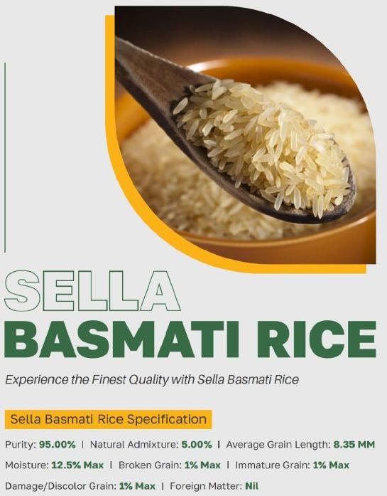 Hard Common White Sella Basmati Rice, Style : Steamed