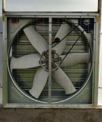 GI SS Exhaust Fan, for Greenhouse, Mounting Type : Belt Pully