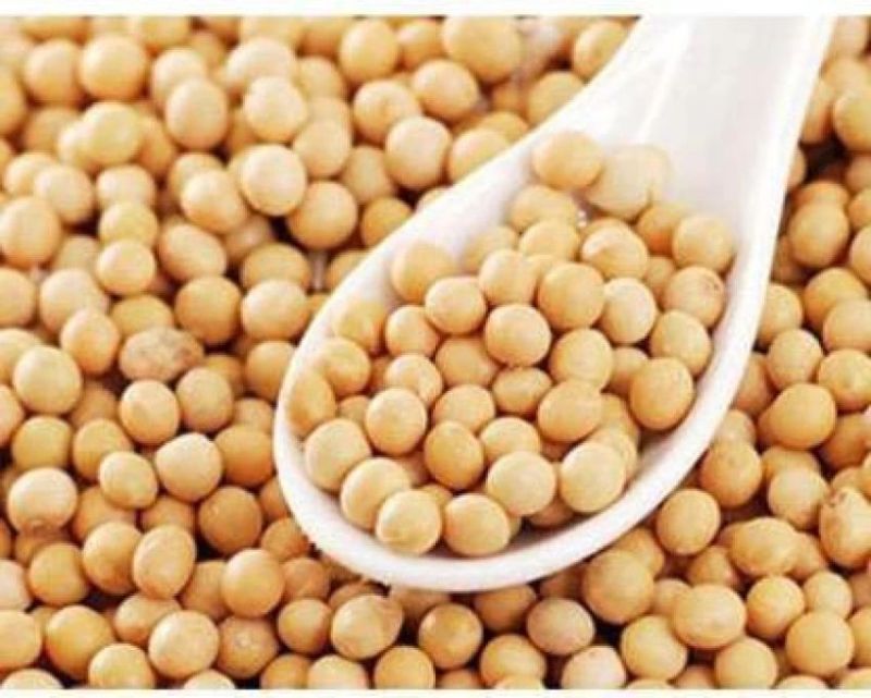 Organic nrc 37 soybean seeds, Packaging Type : Plastic Bags, Pp Bags