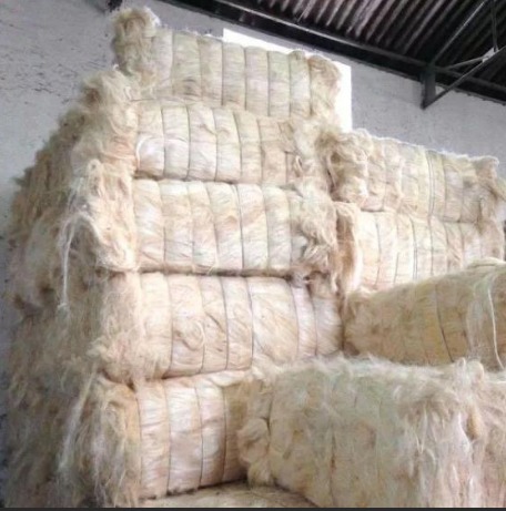 Creamy White Raw Sisal Fibre, For Filling Material, Rope Spining, Packaging Type : Loose