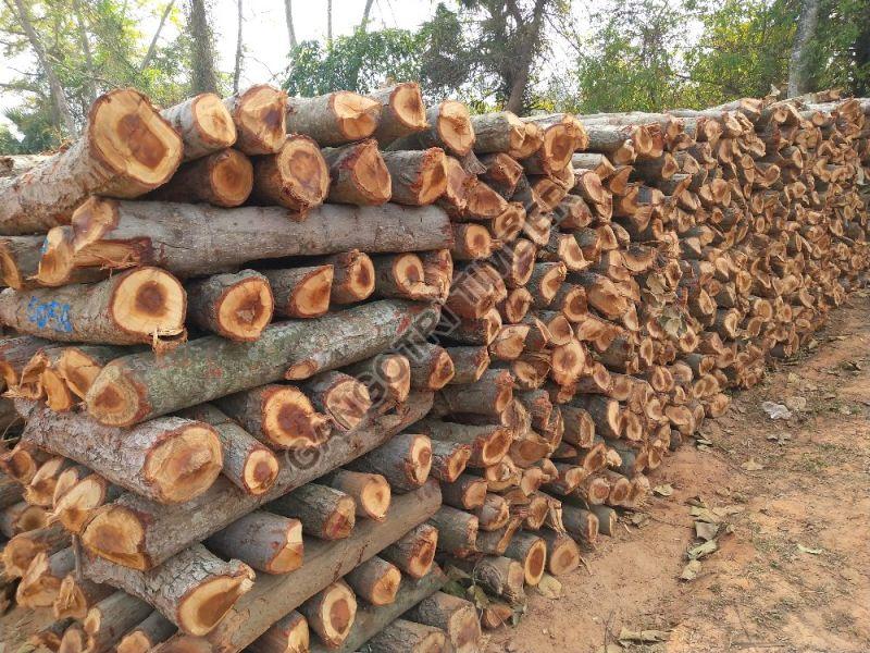 Brown Logs Fire Wood, Packaging Type : Bundle