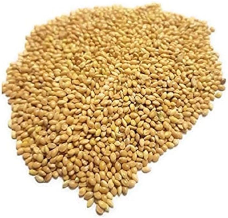 Organic Foxtail Millet Seeds, Style : Dried
