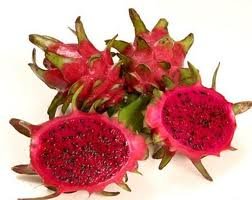 Red Organic Fresh Dragon Fruit, for Human Consumption, Shelf Life : 10 Days