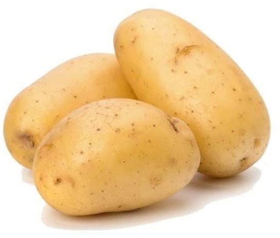 Organic Fresh Potato, for Cooking, Color : Brown