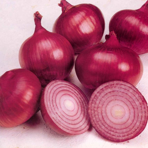 Fresh Red Onion, for Cooking, Style : Natural