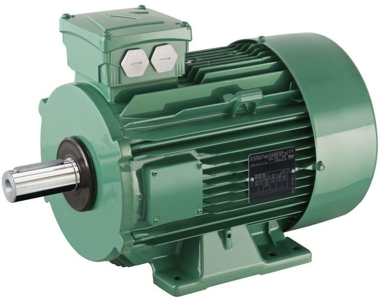 3 Phase Industrial Electric Motor, Mounting Type : Foot