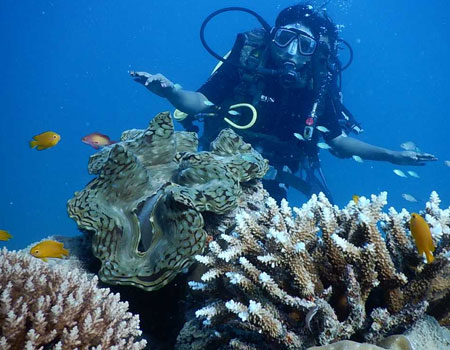 Grand Island Goa Scuba Diving