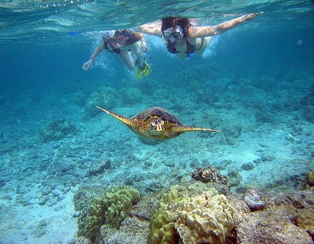 Snorkeling