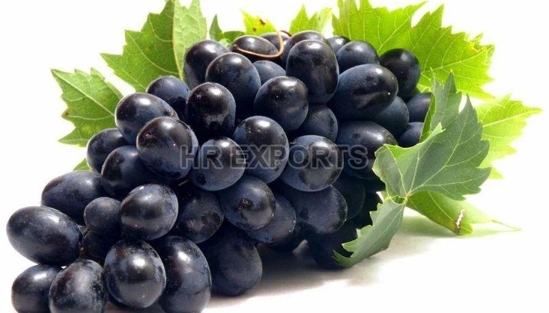 Fresh Black Grapes, Packaging Type : Crate