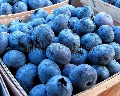 Fresh Blueberry, Shelf Life : 6months