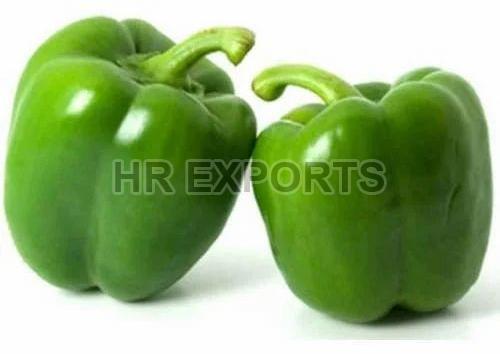 Fresh Capsicum, for Cooking, Packaging Type : PP Bag
