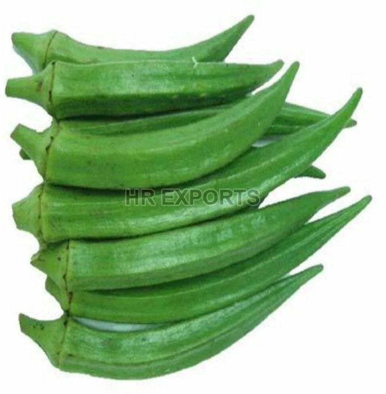 Green Fresh Lady Finger, for Cooking, Packaging Type : PP Bag