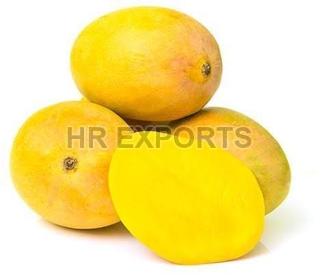 Fresh Mango