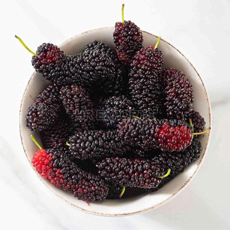 Fresh Mulberry, Packaging Type : Box
