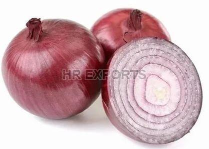 Fresh Onion, Packaging Size : 50 Kg