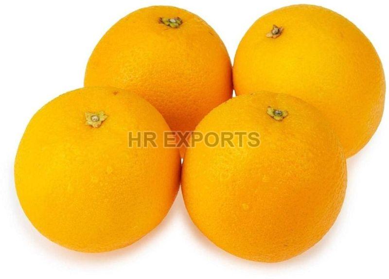 Round Natural Fresh Orange, for Human Consumption, Packaging Type : PP Bag