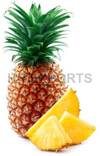 Solid Fresh Pineapple, for Snacks, Juice, Food, Variety : Golden