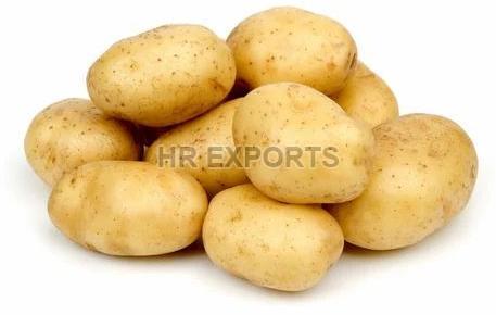 Brown Oval Whole Natural Fresh Potato, for Cookng, Packaging Size : 50 Kg