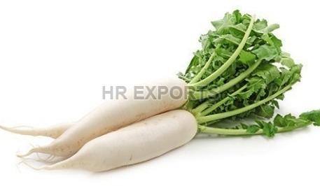 White Fresh Radish, for Human Consumption, Packaging Size : 50 Kg