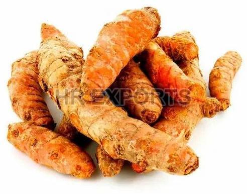 Raw Common Fresh Turmeric, Grade Standard : Food Grade