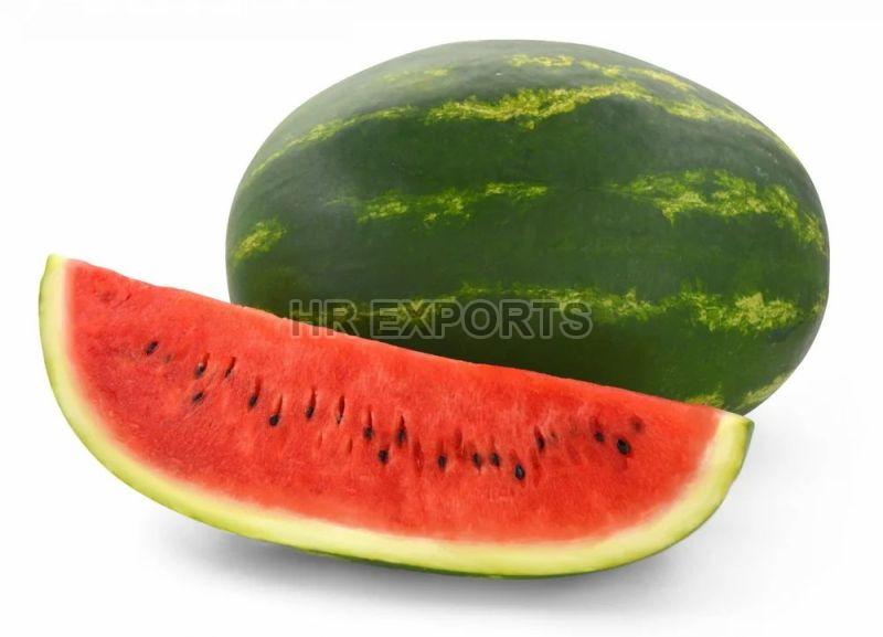 Green Oval Natural Fresh Watermelon, for Human Consumption, Packaging Type : Paper Box