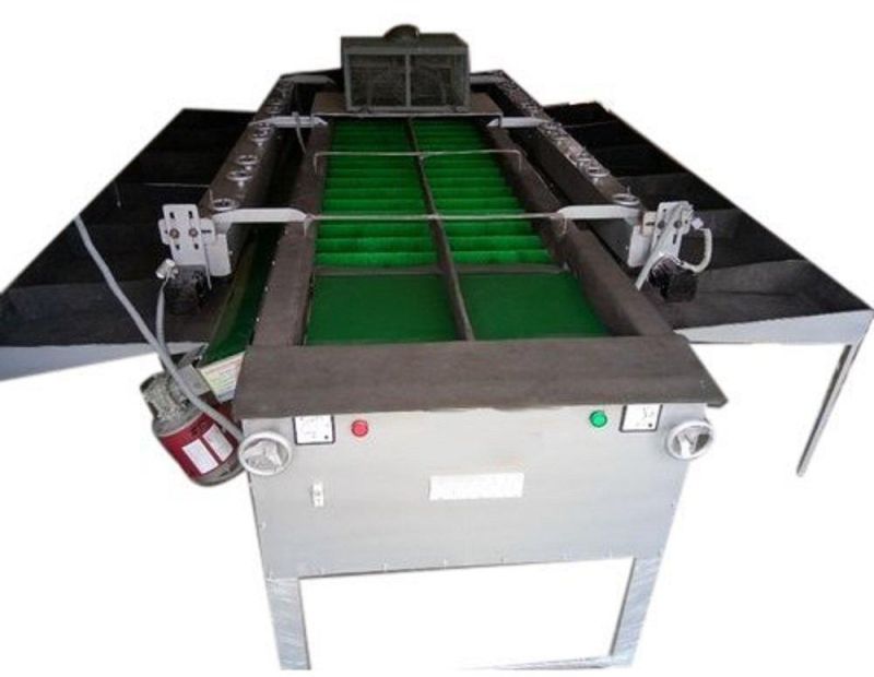 Double Belt Apple Grading Machine, Production Capacity : 1000-2000kg/hr