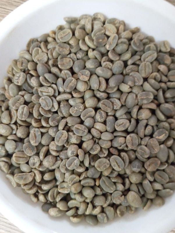 Westmount Green Coffee Beans, Packaging Size : 250g