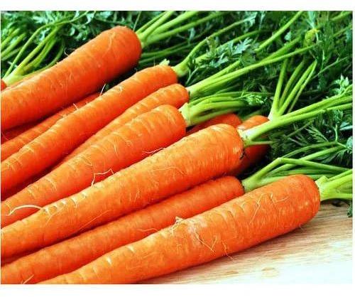 Organic Fresh Carrot for Snacks, Pickle, Juice