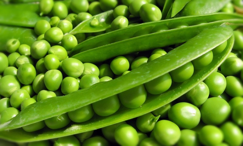 Fresh Green Peas for Cooking