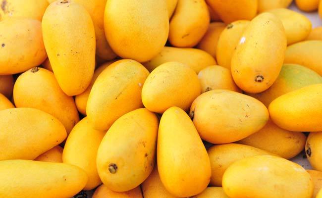Organic Fresh Mango, Packaging Type : Paper Box
