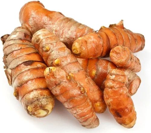 Raw Turmeric Finger for Cooking