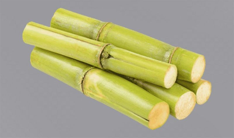 Organic Sugarcane for Jaggery