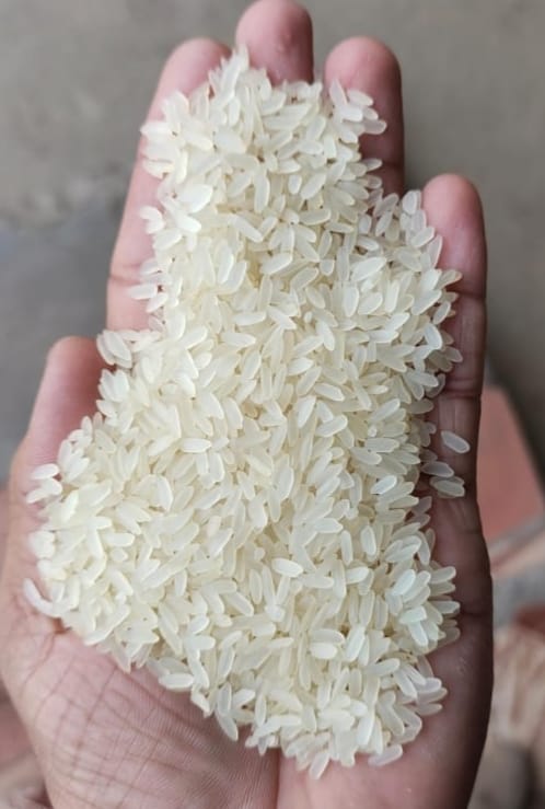 Common Ir 64 Parboiled Rice, Color : Yellow