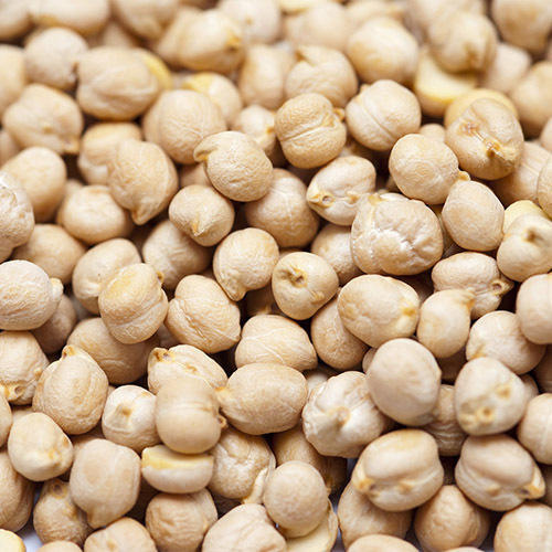 Chick Peas for Cooking