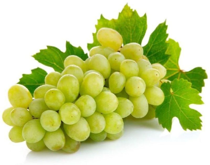 Organic Fresh Green Grapes for Human Consumption