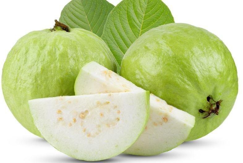 Organic Fresh Guava for Human Consumption
