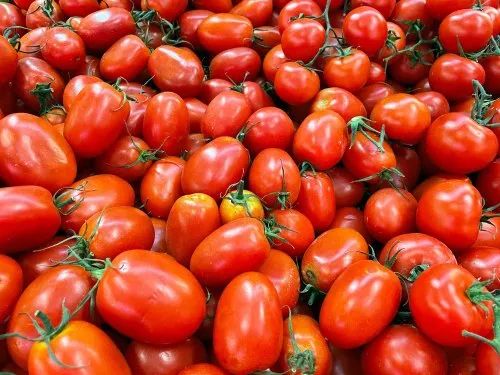 Fresh Tomato, Packaging Type : Plastic Crate