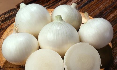 Fresh White Onion, Packaging Type : Gunny Bag