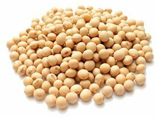 Soybean Seeds for Animal Feed