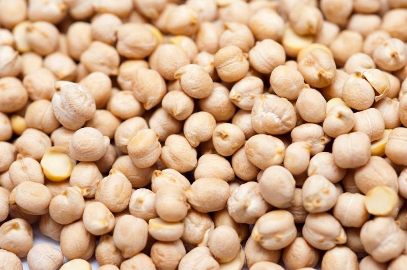White Chickpeas for Animal Feed