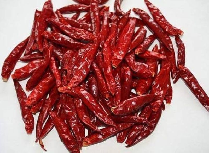 Raw Organic Dried Red Chilli for Cooking