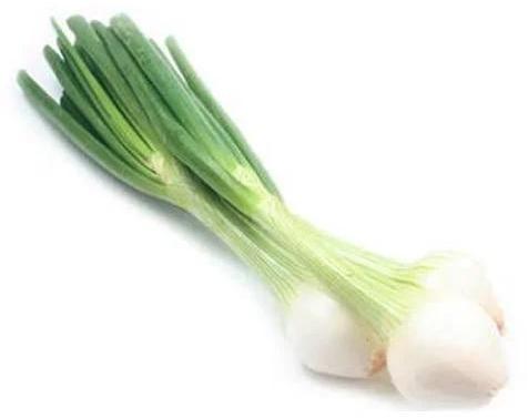 Fresh Green Onion