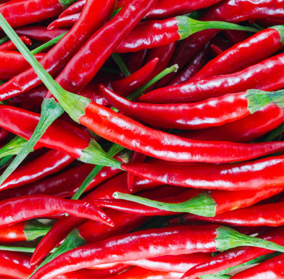 Fresh Red Chilli for Cooking