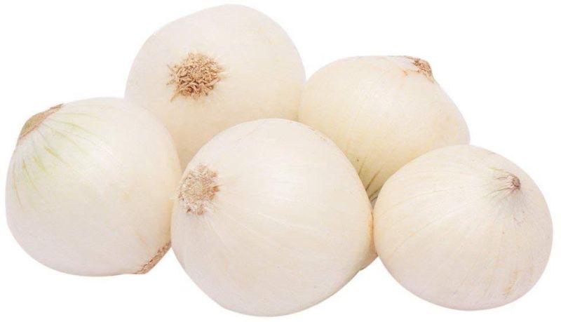 Organic Fresh White Onion for Cooking