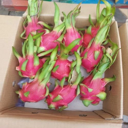 Cardboard Dragon Fruit Packaging Box, Feature : Superior Quality, Eco Friendly