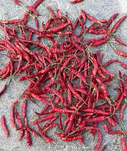 Teja Dry Red Chilli, for Cooking